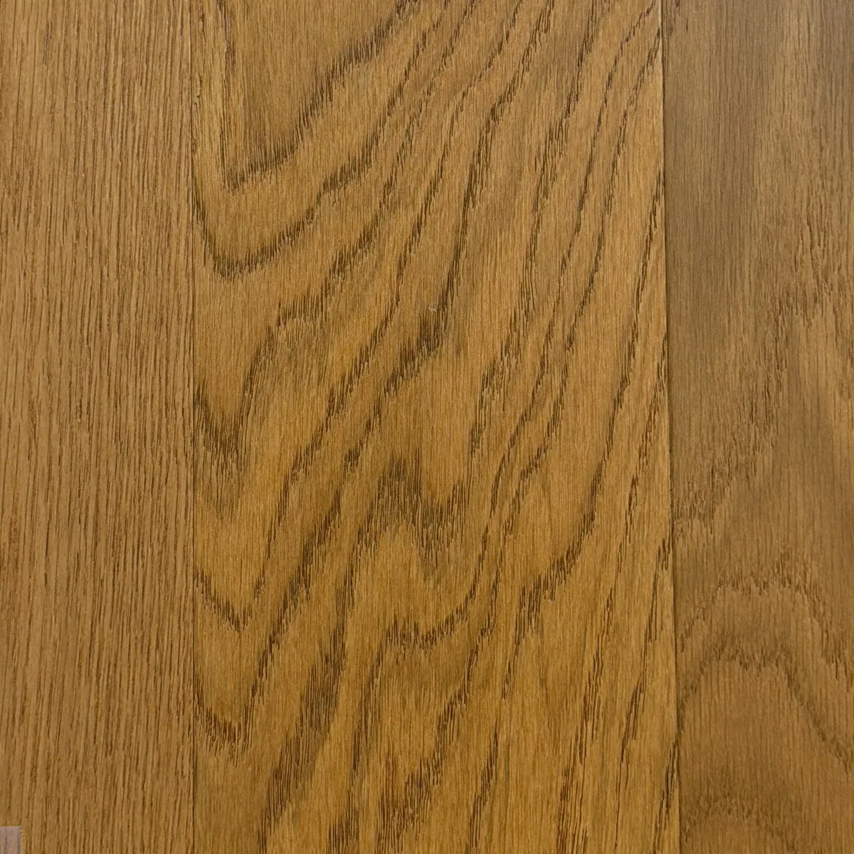 Muestra de Aura Gold Oak — Madera impermeable (capa de madera real sobre núcleo de piedra)