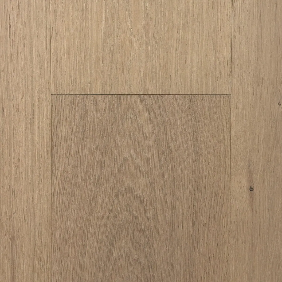 Campania — Engineered hardwood sample