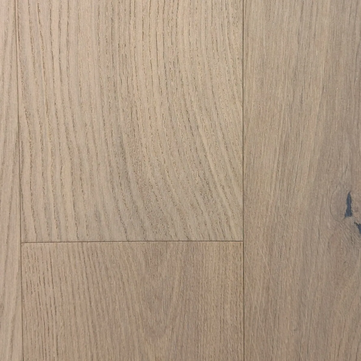 Ivory, view 2