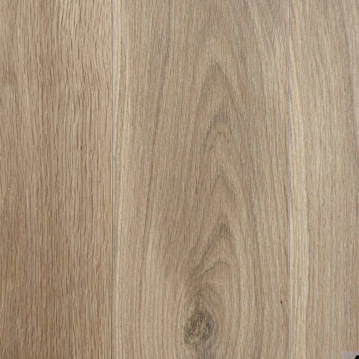 Chora — Engineered hardwood sample