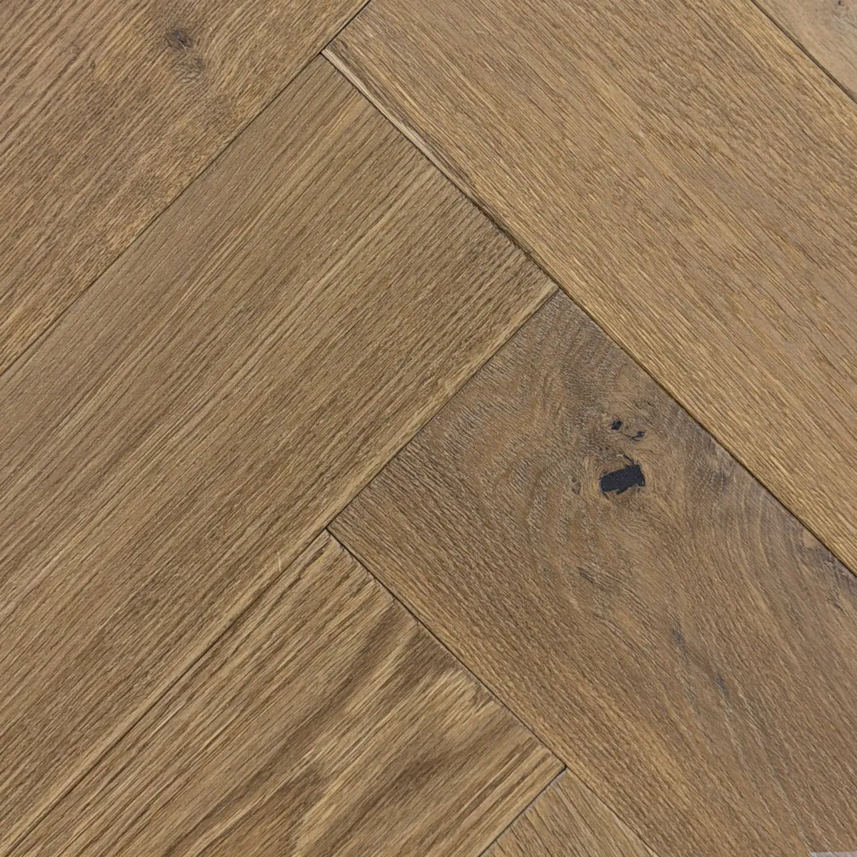 Muestra de Marathi — Madera de ingeniería