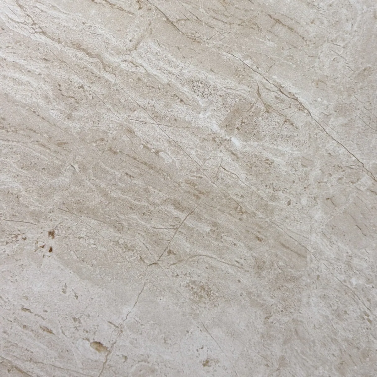 Muestra de Eggshell — Porcelanato esmaltado