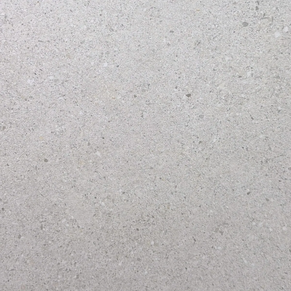 Café Light Gray — Color-body porcelain sample