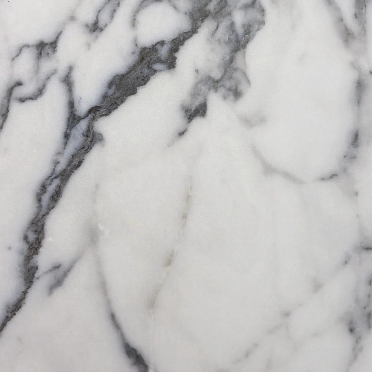 Muestra de Arabescato (pulido) — Porcelanato de cuerpo coloreado