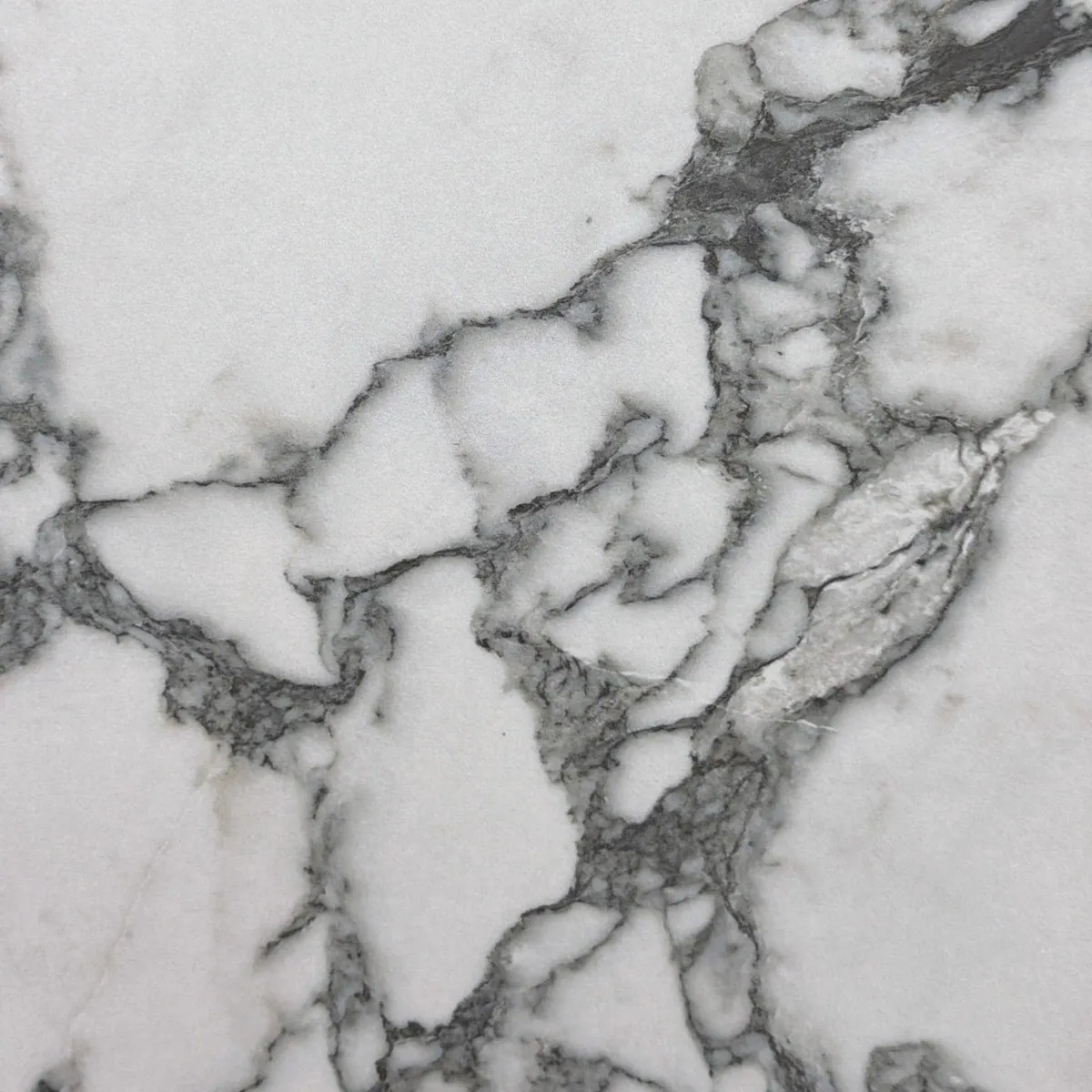 Arabescato — Color-body porcelain sample