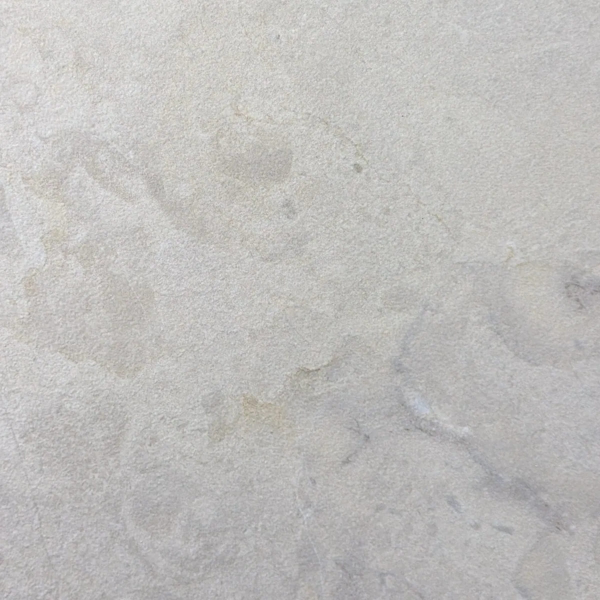 Halo Ivory 3D — Color-body porcelain sample