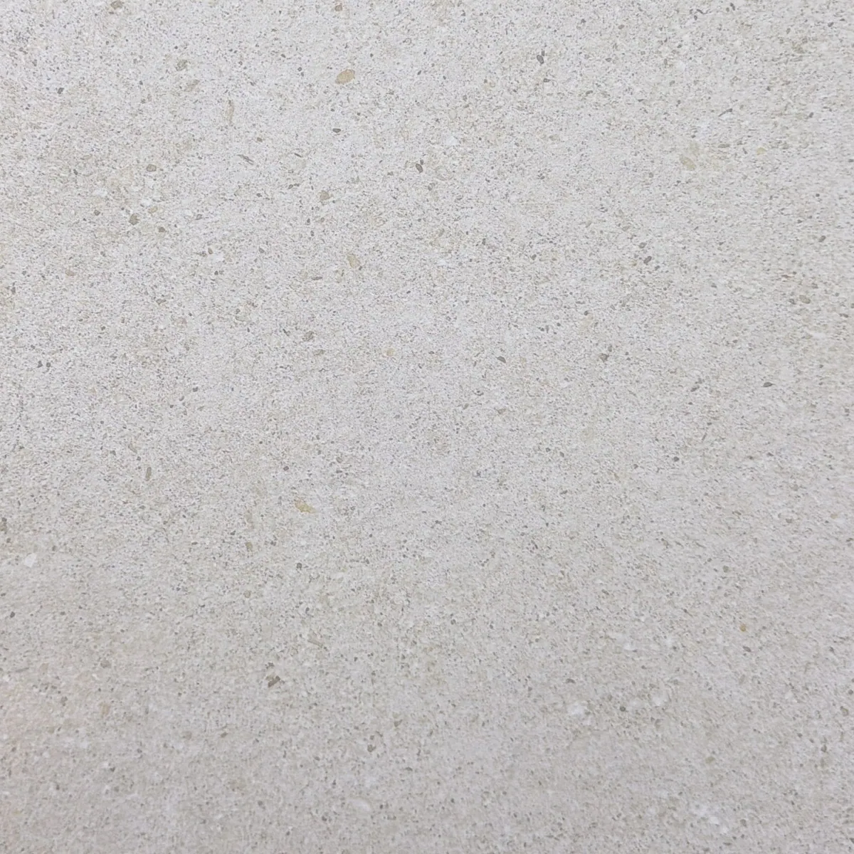 Levee White — Color-body porcelain sample