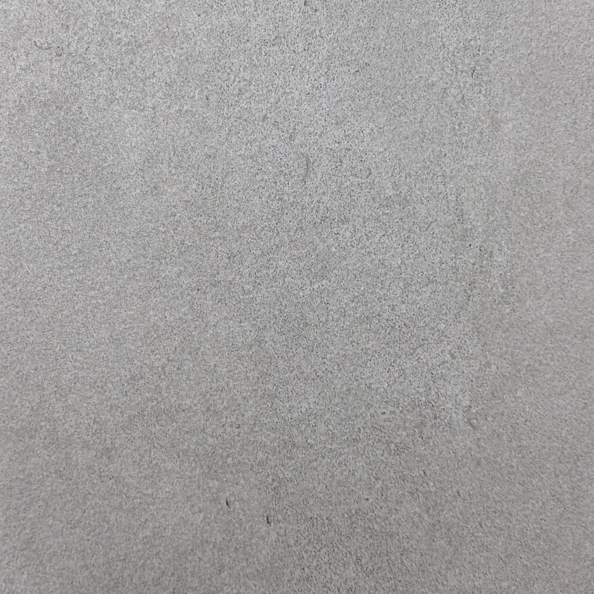 Leisure Gray — Color-body porcelain sample