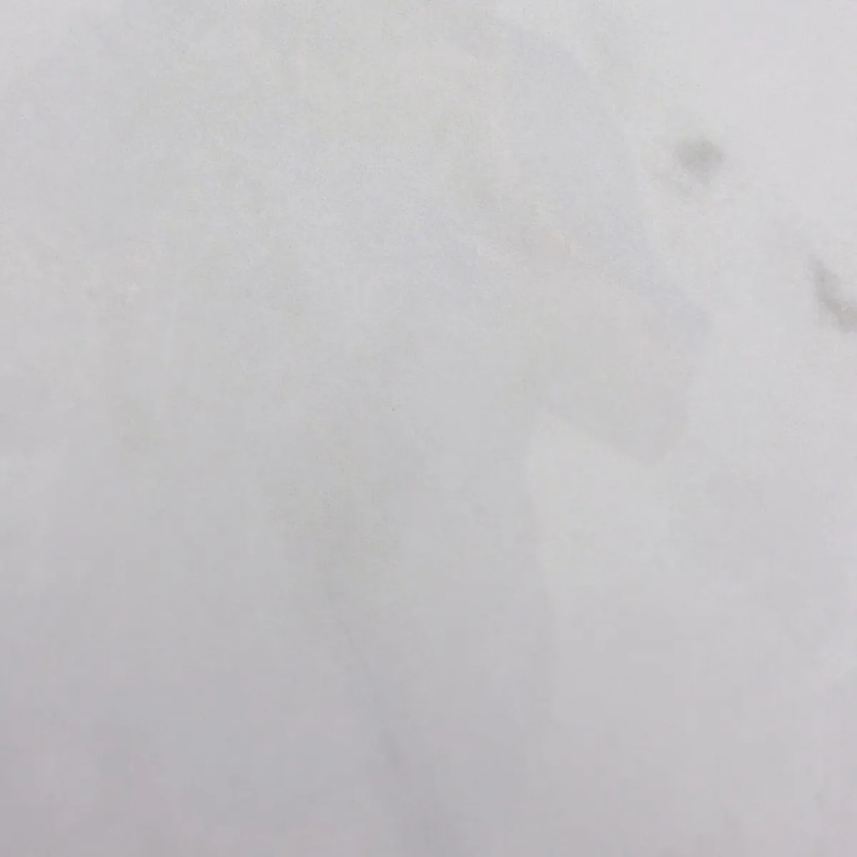 Honesty (pulido) — Glazed porcelain sample