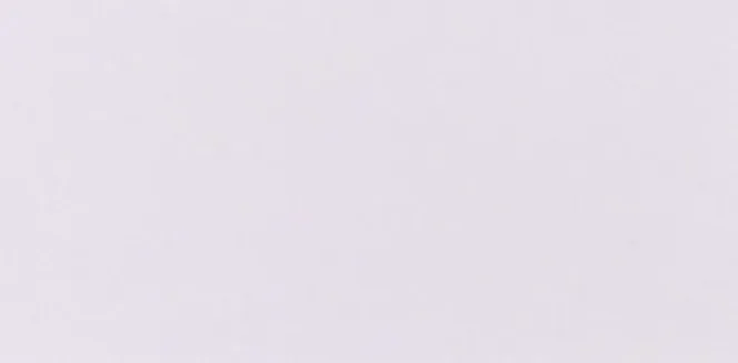 True White — Ceramic wall tile sample