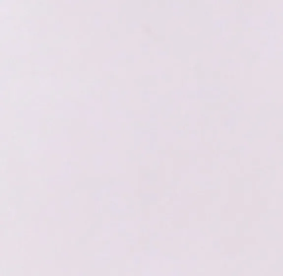Whistling White — Ceramic wall tile sample