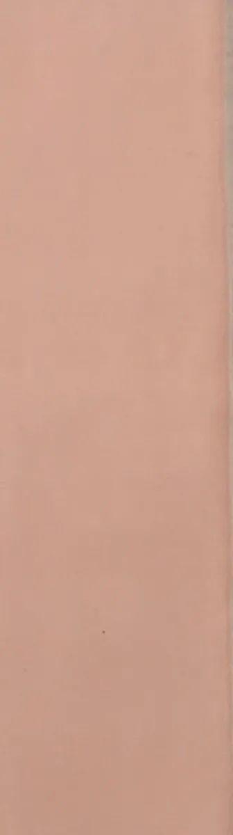 Perched Pink — Ceramic wall tile sample
